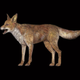 A fox from Skyrim